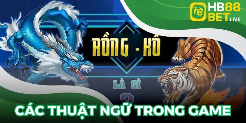 Các thuật ngữ phổ biến xuất hiện trong game