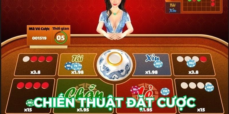 Chiến thuật đặt cược hiệu quả cho thành viên