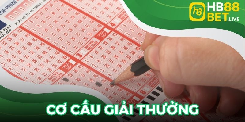 Cơ cấu giải thưởng mà thành viên cần nắm
