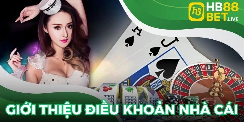 Điều khoản điều kiện là nội dung không thể thiếu
