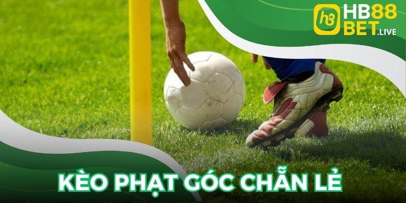 Kèo phạt góc chẵn lẻ phù hợp với mọi đối tượng