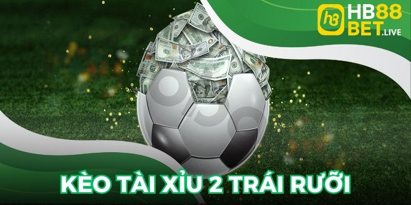 Vào vốn Tài Xỉu 2 trái rưỡi tỷ lệ thắng siêu cao cho hội viên
