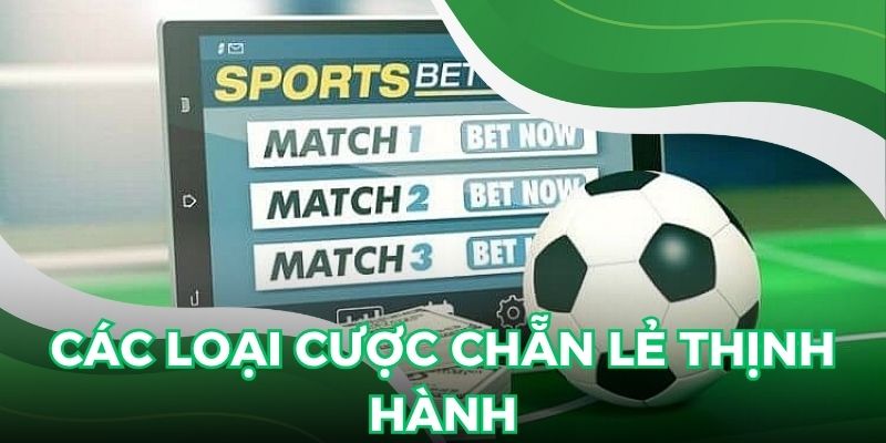 Những kiểu cược chẵn lẻ đang thịnh hành gần đây