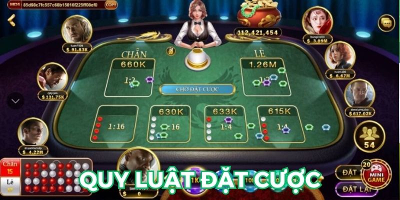 Quy luật đặt cược người mới cần nắm