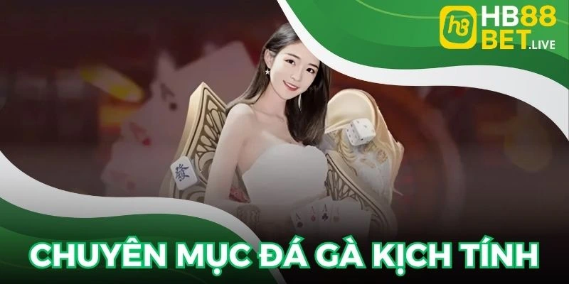 Tận hưởng những màn so kè kê chọi cực cuốn