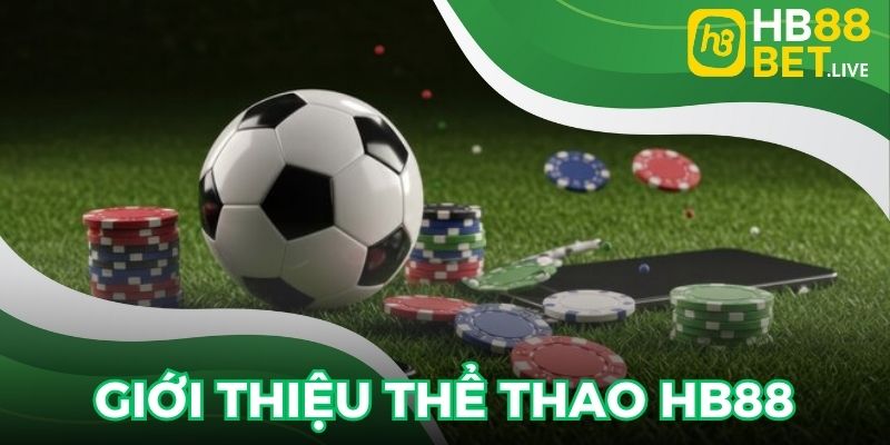 Thể thao là hình thức được ưa chuộng nhà cái hiện nay